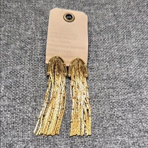 Gold Fringe Earrings